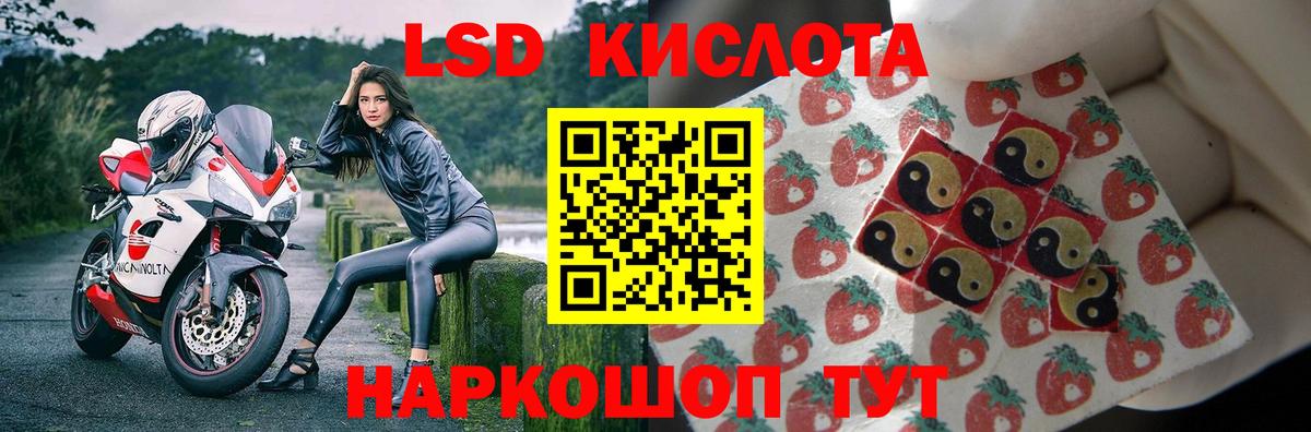 ЛСД экстази  Вход с VPN  Бердск  LSD-25 экстази кислота  Лсд 25 экстази кислота 