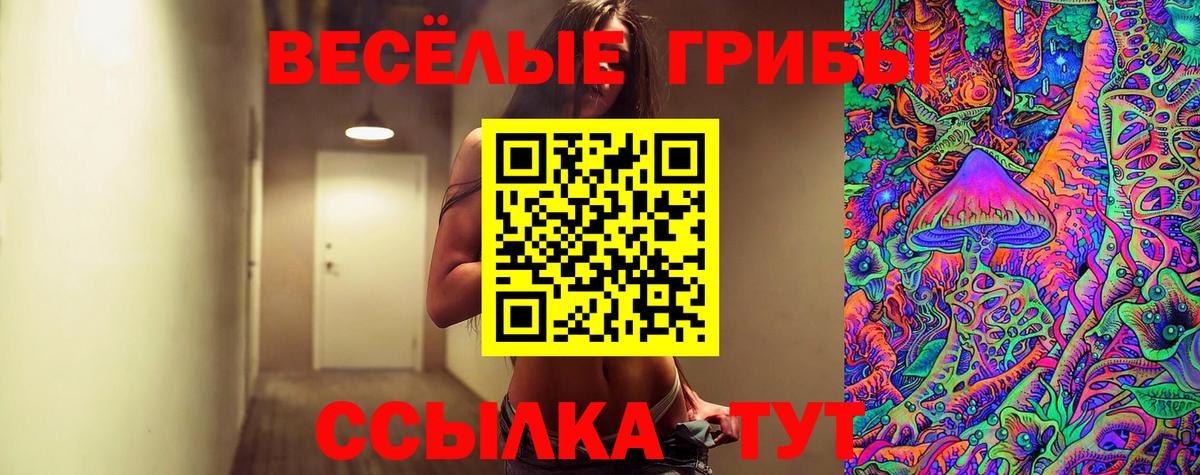 Галлюциногенные грибы мицелий Бердск