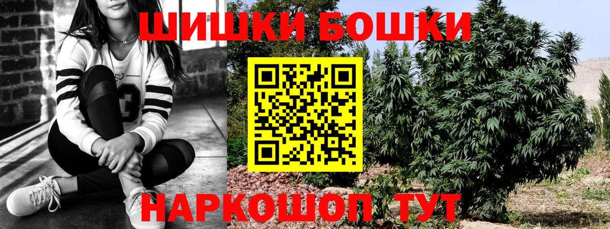 Каннабис индика Бердск